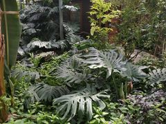 -北京呀路古热带植物园