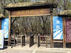 -西青郊野公园