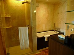 -新加坡文华东方酒店