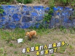 -五女山景区