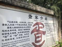 -北海金海湾红树林生态旅游区