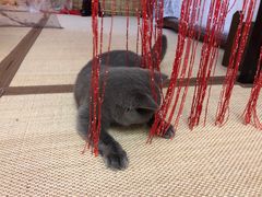 -第三空间·趣味桌游·轰趴.室内CS.剧本杀(大武汉1911店)