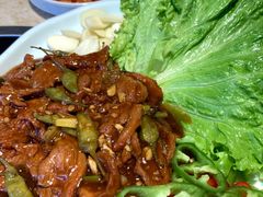 -英子补身汤(海兰路店)