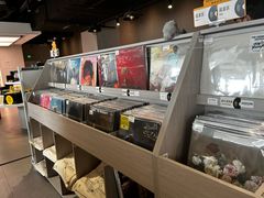 -浣熊唱片店(上海影城店)