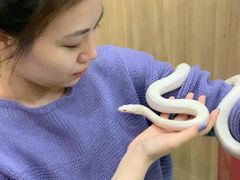 -藦茜花园宠物主题亲子互动体验馆(国顺东路店)