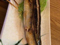 -樱の千渡日式料理·铁板烧•烧鸟(金盛田广场店)