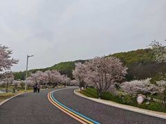 -羊山湖公园