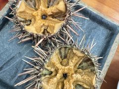 -海胆小馆(东北水饺·春柳店)