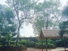 -海南热带野生动植物园