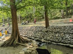 -白水寺森林公园