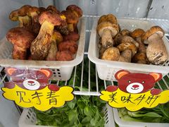 -菌之家·专业纯野生菌火锅·特色炒菌