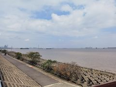 -上海滨江森林公园
