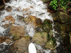 -广州市石门国家森林公园