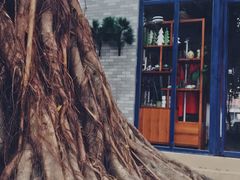 -小洲村