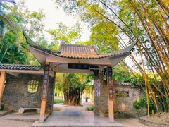 -广西壮族自治区药用植物园