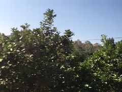 -车溪民俗旅游区