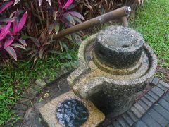 -金山植物公园