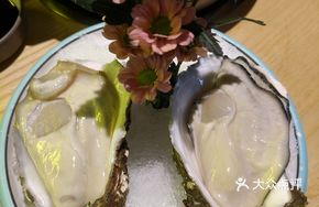 Extra Large Oyster King
