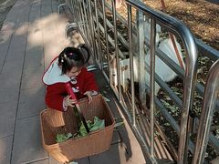 -厦门悦华酒店