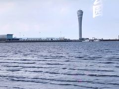 -上海吴淞炮台湾国家湿地公园