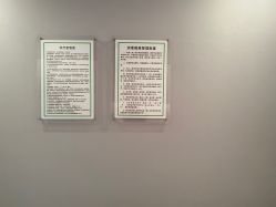 -奈瑞儿美颜美养痛症调理