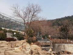 -石老人观光园
