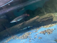 -苏州海洋馆