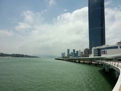 -演武大桥观景平台