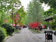 -合肥滨湖国家森林公园