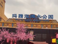 -上海玛雅海滩水公园