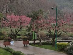 -中国茶叶博物馆(双峰馆区)