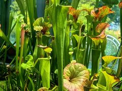 -国家植物园南园