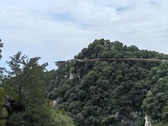 -少华山国家森林公园