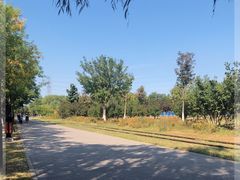 -永定河休闲森林公园