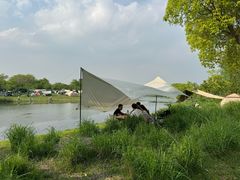 -贡湖湾湿地公园