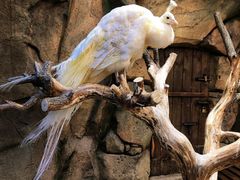 -波塞冬旅游度假区