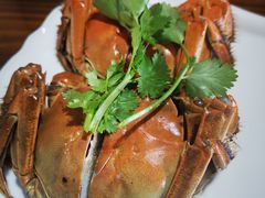 -呼吸森林·生态农庄农家乐私房菜