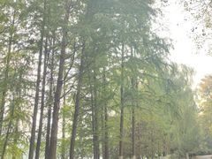 -滨湖塘西河公园