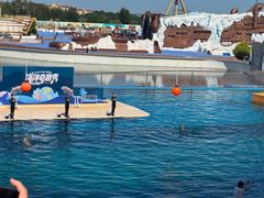 -秦皇岛乐岛海洋王国