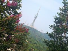 -青岛电视塔