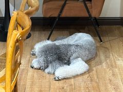 -沏点Trattoria意大利餐厅(新街口店)