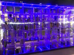 -郑州西亚斯学院-体育学院