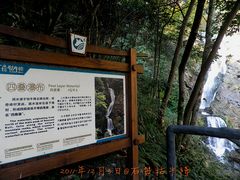 -祁门牯牛降观音堂风景区