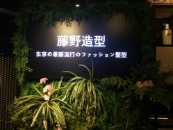 点击看大图 -藤野造型