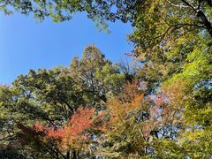 -九曜山