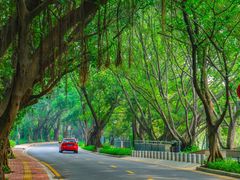 -南国桃园旅游度假区