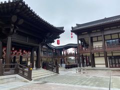 -大唐贡茶院