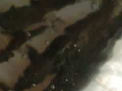 -水库活鱼馆(于桥水库店)