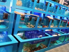 水产区-老六海鲜城