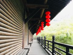 -大唐贡茶院